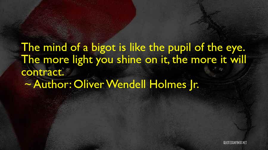 Eye Pupil Quotes By Oliver Wendell Holmes Jr.