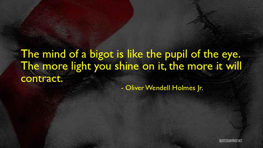 Eye Pupil Quotes By Oliver Wendell Holmes Jr. Eye Pupil Quotes By Oliver Wendell Holmes Jr.