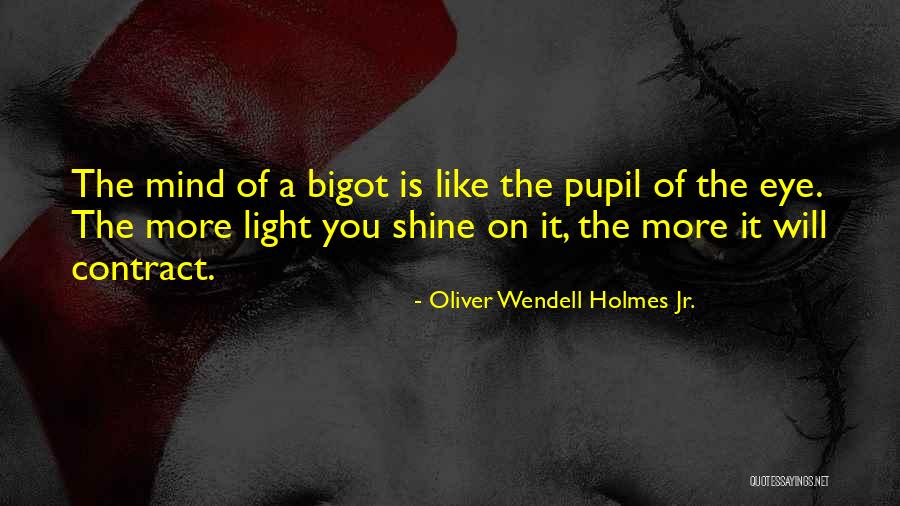 Eye Pupil Quotes By Oliver Wendell Holmes Jr.