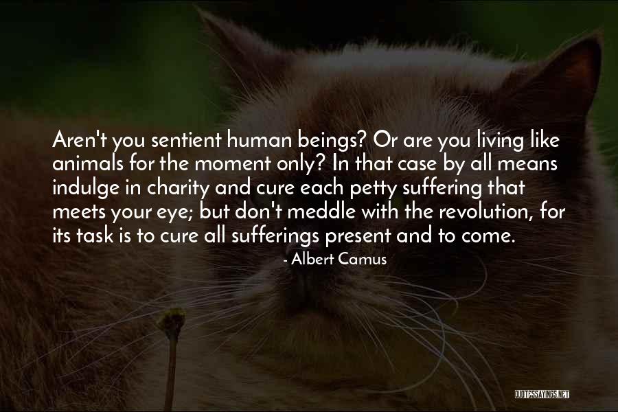 Eye Quotes By Albert Camus Eye Quotes By Albert Camus