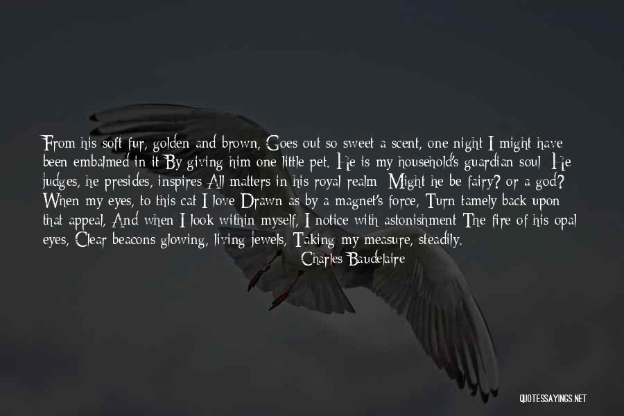 Eye Quotes By Charles Baudelaire Eye Quotes By Charles Baudelaire