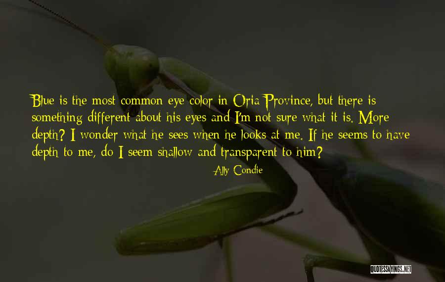 Eye Sees Quotes By Ally Condie