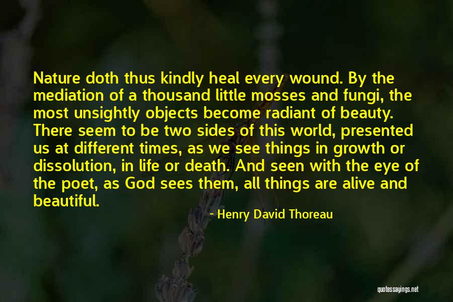 Eye Sees Quotes By Henry David Thoreau