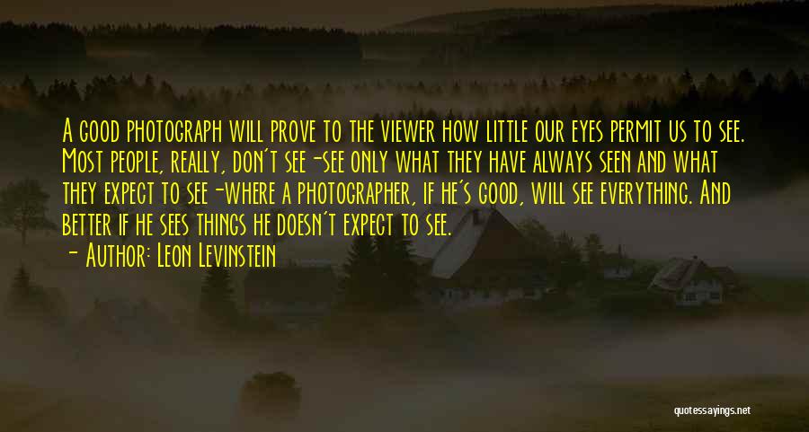 Eye Sees Quotes By Leon Levinstein