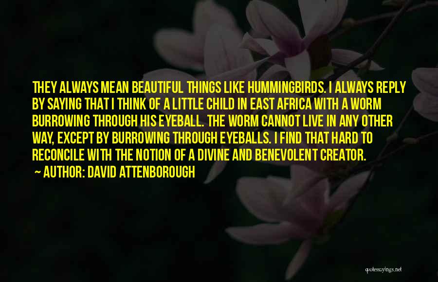 Eyeball Quotes By David Attenborough