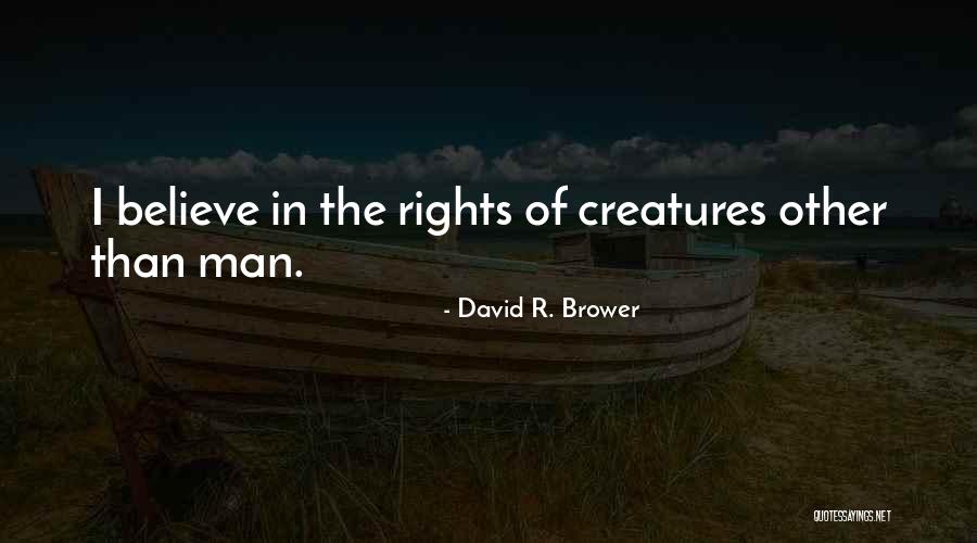 Eyeblink To Voice Quotes By David R. Brower Eyeblink To Voice Quotes By David R. Brower