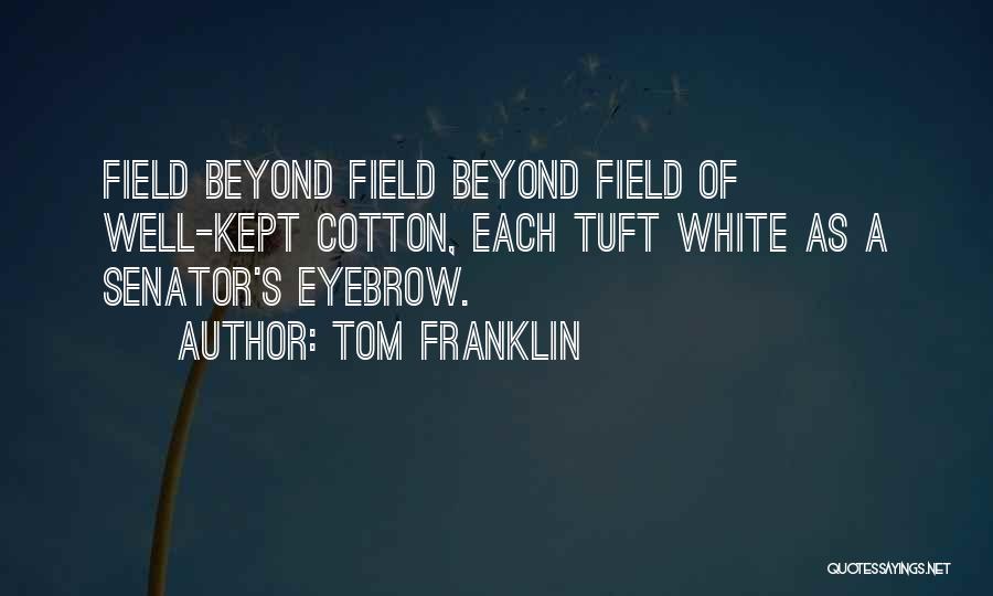 Eyebrow Quotes By Tom Franklin