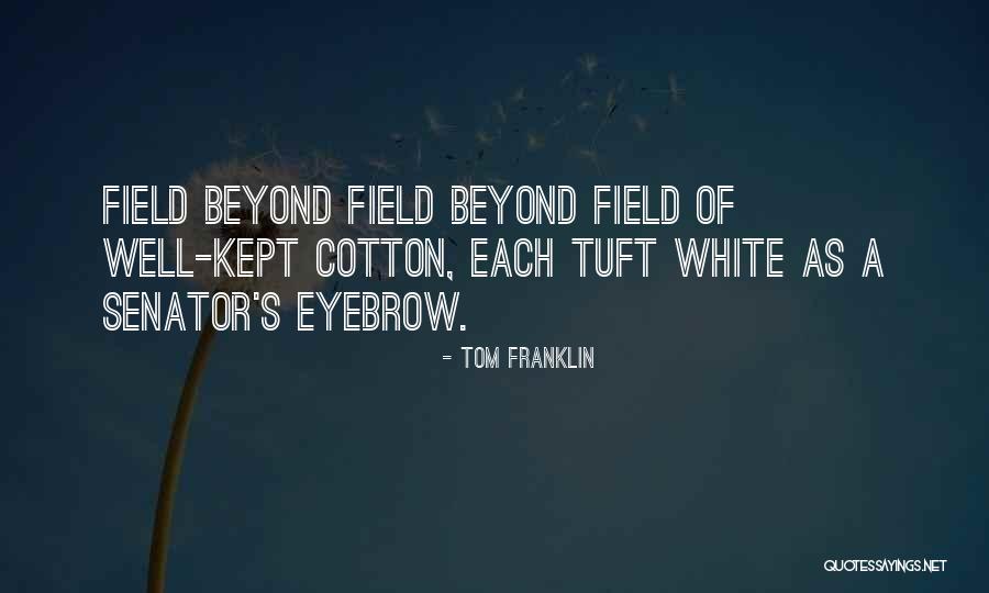 Eyebrow Quotes By Tom Franklin