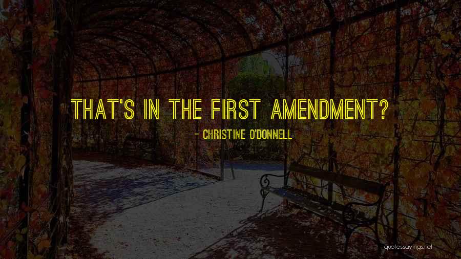 Eyeful Quotes By Christine O'Donnell Eyeful Quotes By Christine O'Donnell