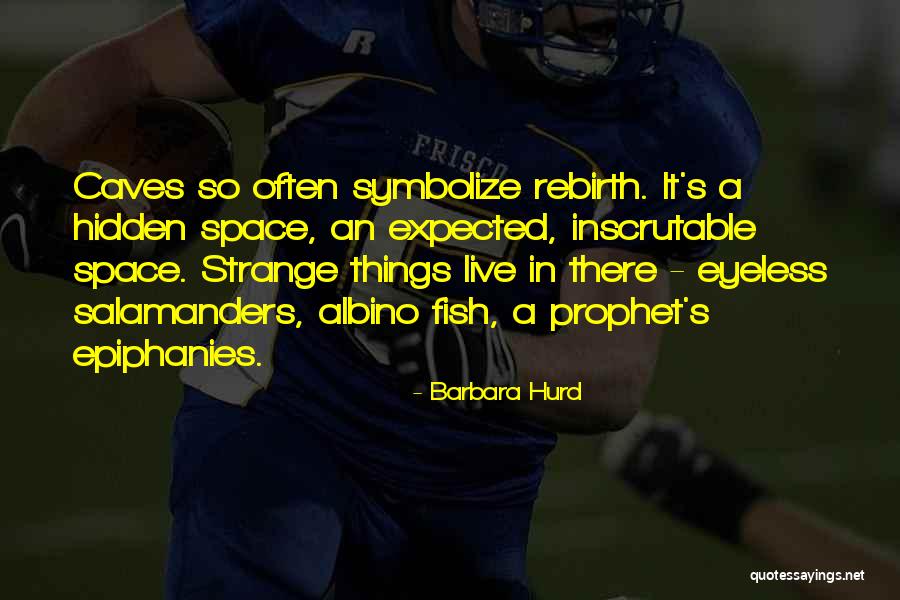 Eyeless Quotes By Barbara Hurd Eyeless Quotes By Barbara Hurd