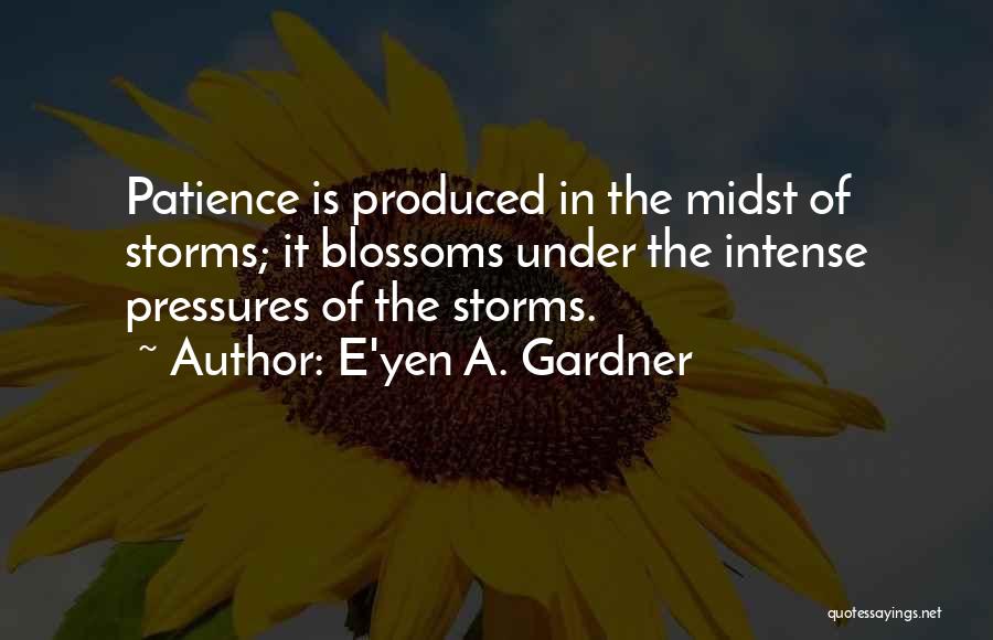 E'yen A. Gardner Quotes 629165