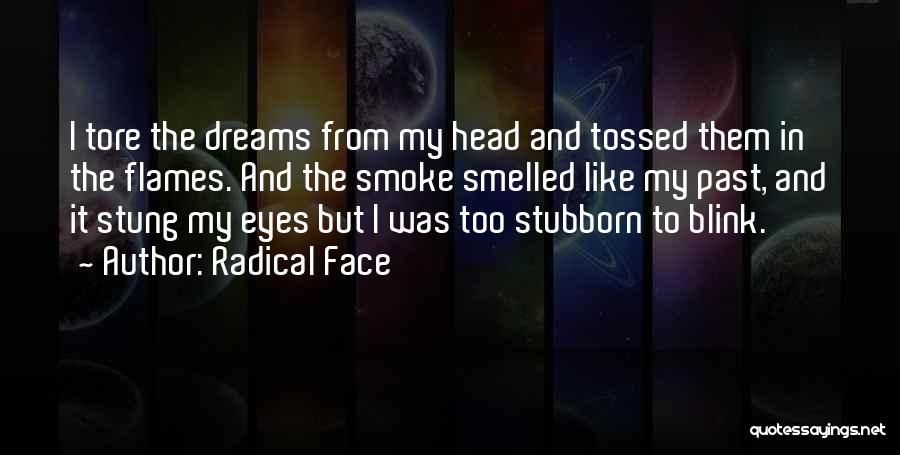 Eyes And Dreams Quotes By Radical Face