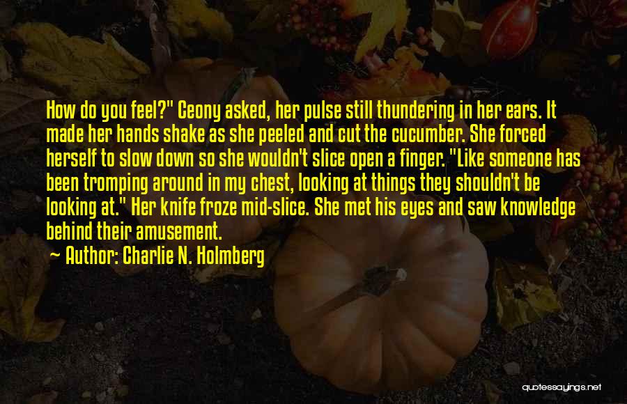 Eyes And Ears Quotes By Charlie N. Holmberg