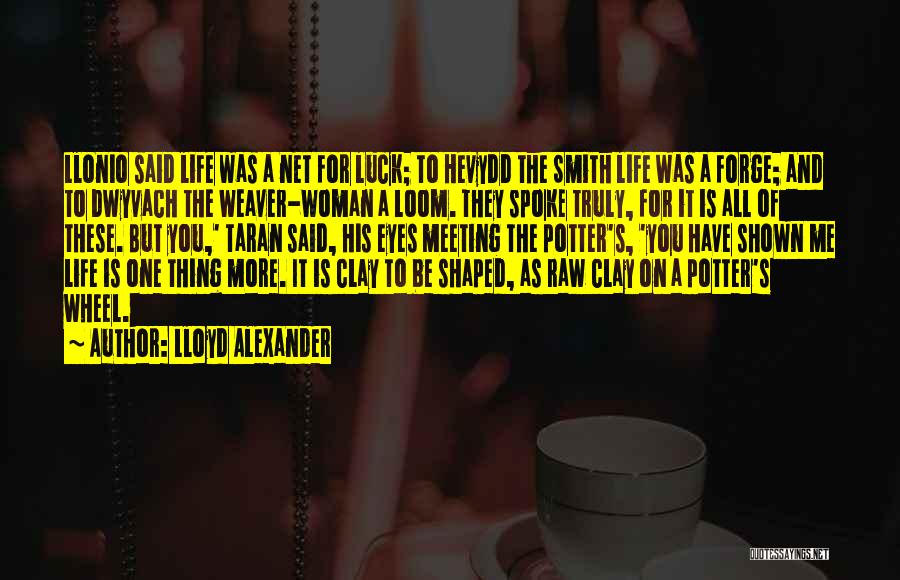 Eyes And Life Quotes By Lloyd Alexander