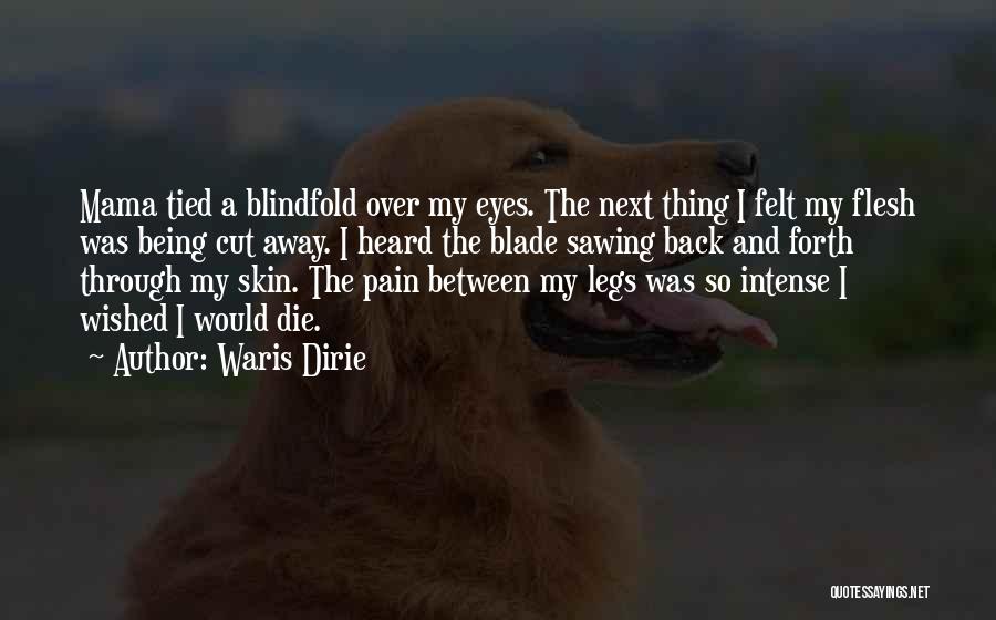 Eyes And Pain Quotes By Waris Dirie