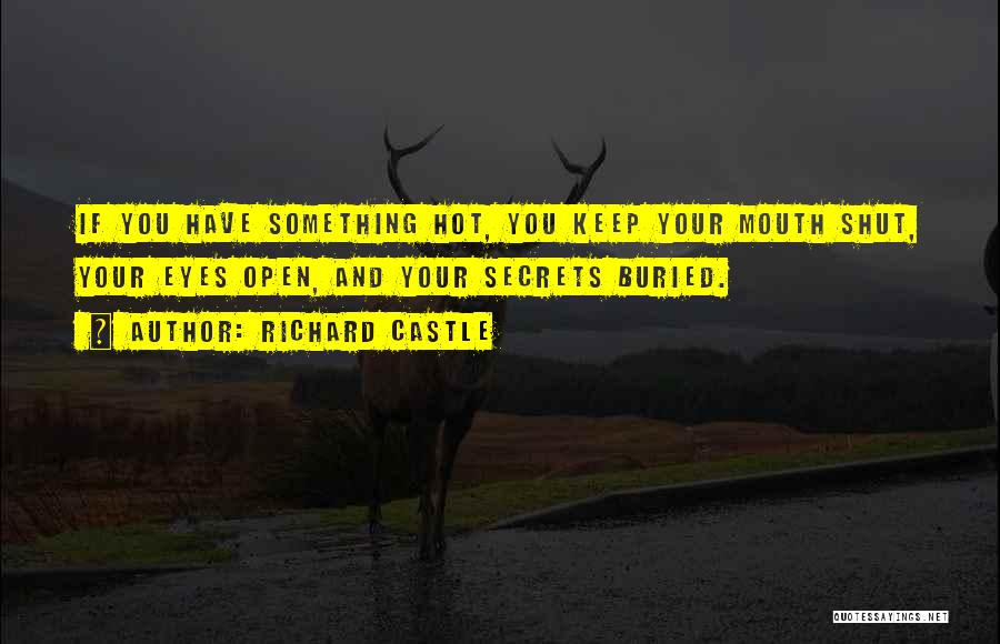 Eyes And Secrets Quotes By Richard Castle