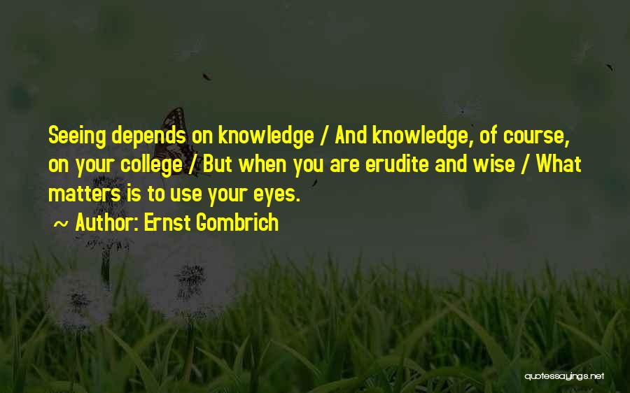 Eyes And Seeing Quotes By Ernst Gombrich