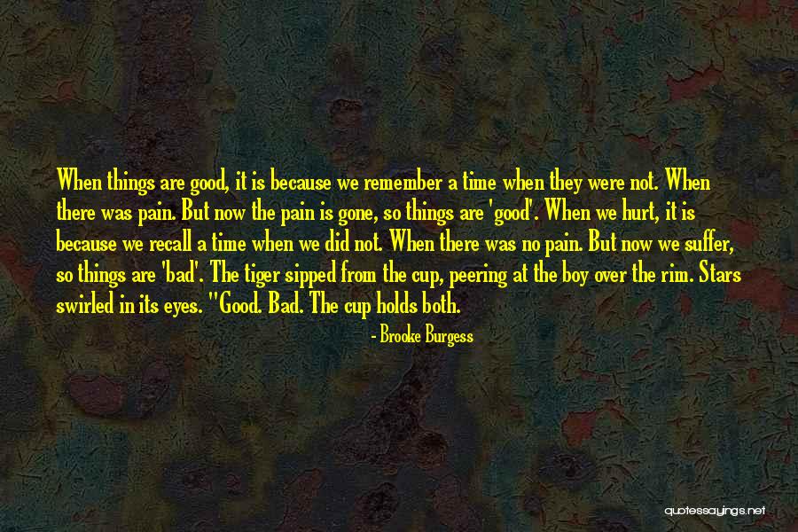 Eyes And Stars Quotes By Brooke Burgess