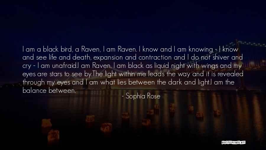 Eyes And Stars Quotes By Sophia Rose