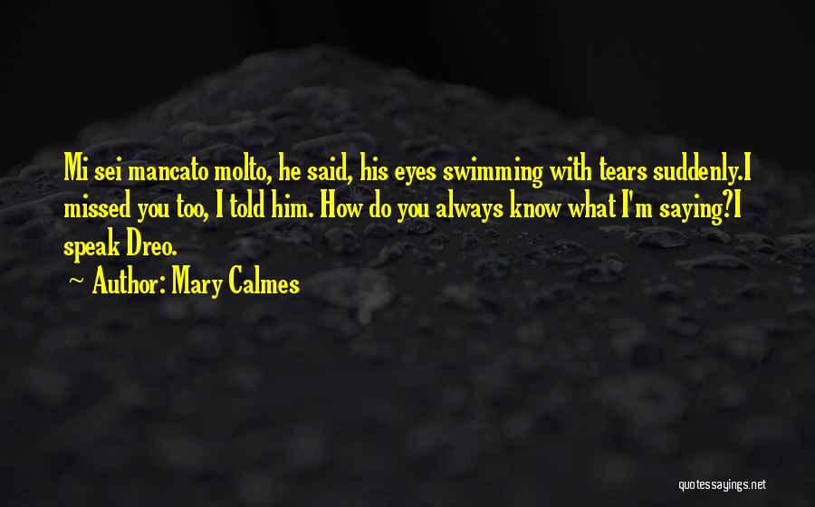 Eyes Do Speak Quotes By Mary Calmes