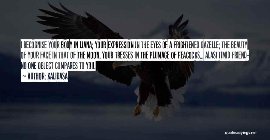 Eyes Expression Quotes By Kalidasa