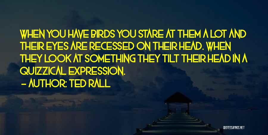 Eyes Expression Quotes By Ted Rall