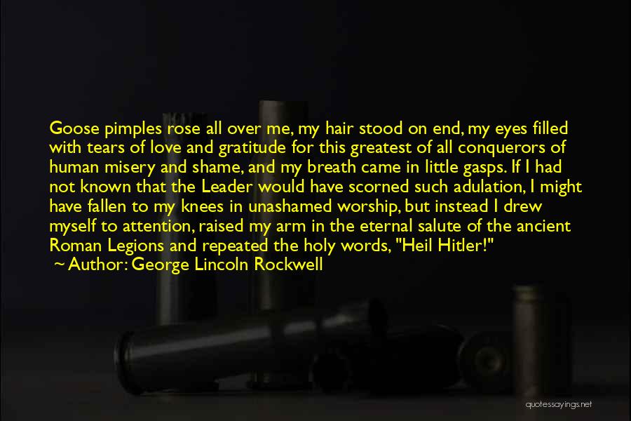 Eyes Filled With Tears Quotes By George Lincoln Rockwell