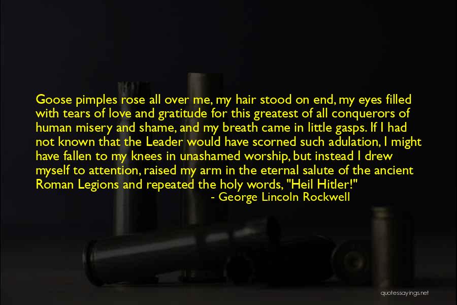 Eyes Filled With Tears Quotes By George Lincoln Rockwell Eyes Filled With Tears Quotes By George Lincoln Rockwell