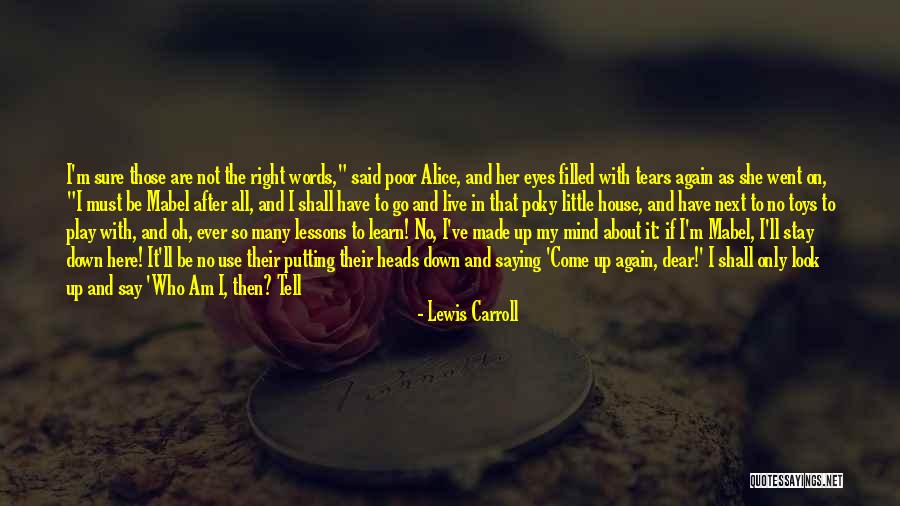 Eyes Filled With Tears Quotes By Lewis Carroll