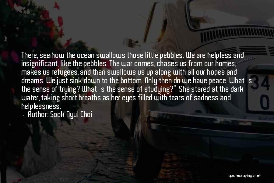 Eyes Filled With Tears Quotes By Sook Nyul Choi