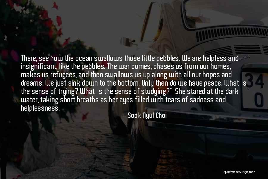 Eyes Filled With Tears Quotes By Sook Nyul Choi Eyes Filled With Tears Quotes By Sook Nyul Choi