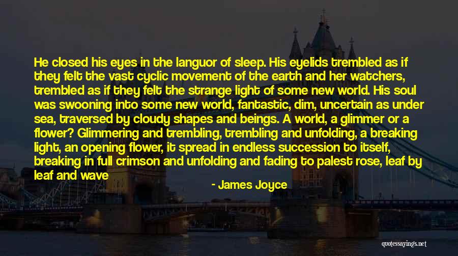 Eyes Full Of Sleep Quotes By James Joyce Eyes Full Of Sleep Quotes By James Joyce