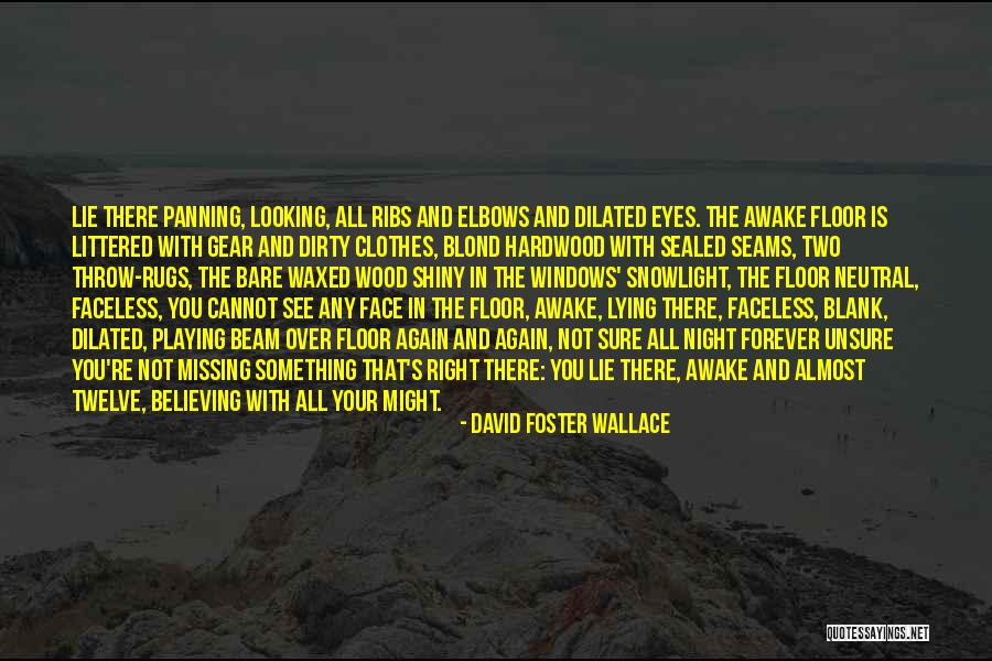 Eyes In Night Quotes By David Foster Wallace