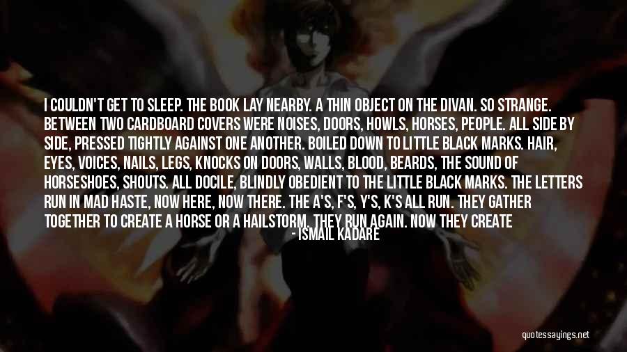 Eyes In The Book Night Quotes By Ismail Kadare Eyes In The Book Night Quotes By Ismail Kadare