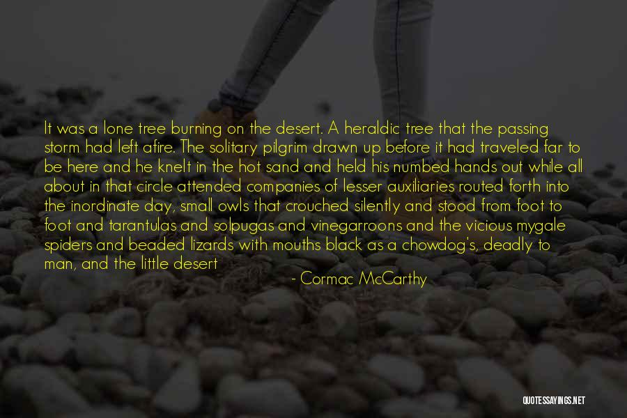 Eyes Light Up Quotes By Cormac McCarthy