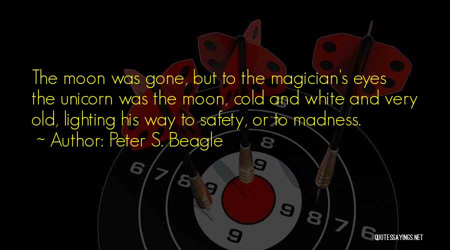 Eyes Lighting Up Quotes By Peter S. Beagle