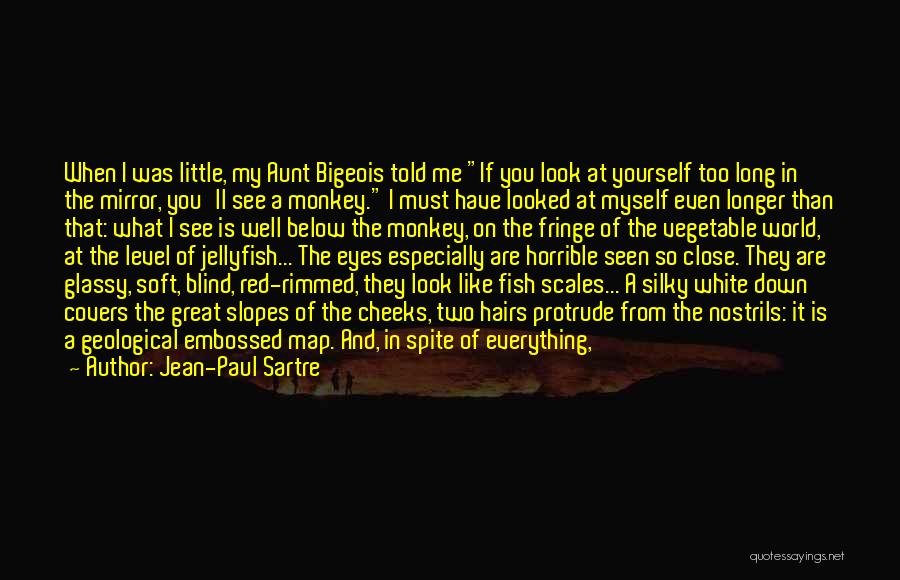 Eyes Like Quotes By Jean-Paul Sartre
