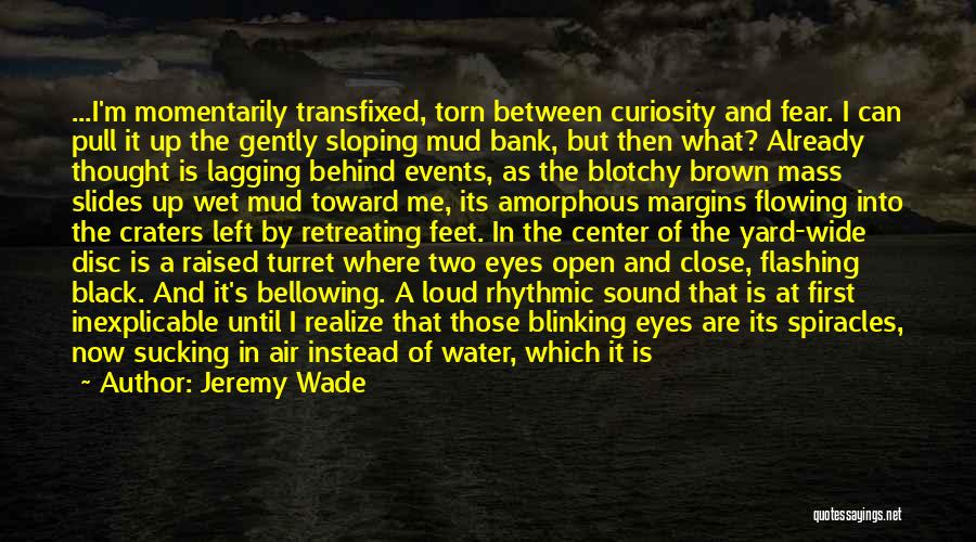 Eyes Like Quotes By Jeremy Wade