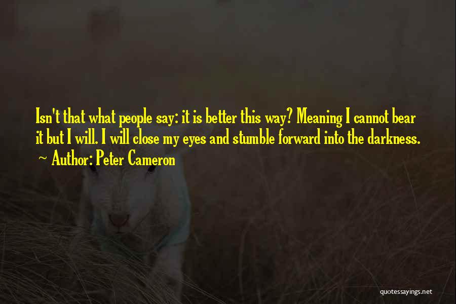 Eyes Meaning Quotes By Peter Cameron