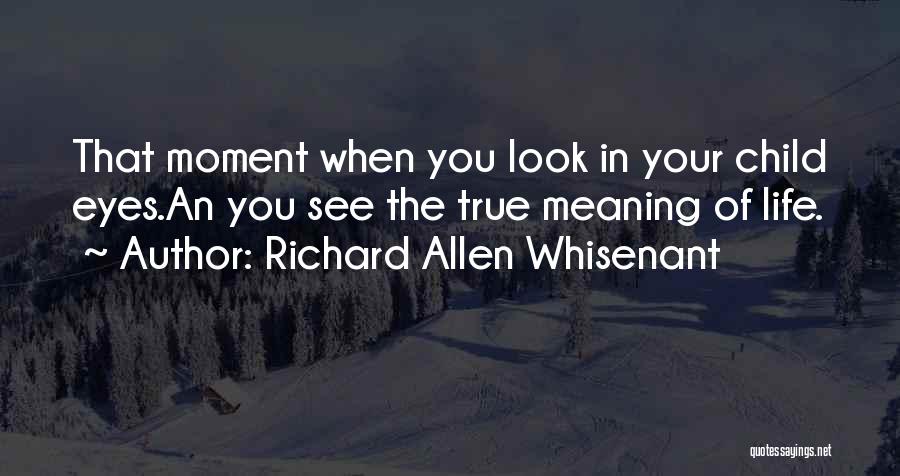 Eyes Meaning Quotes By Richard Allen Whisenant