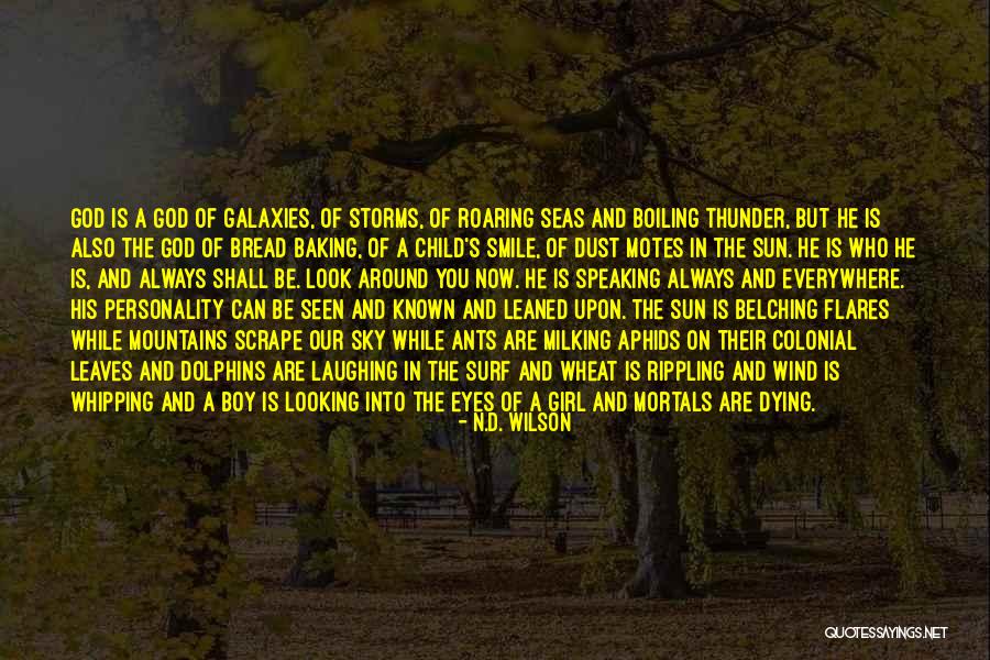 Eyes N Smile Quotes By N.D. Wilson