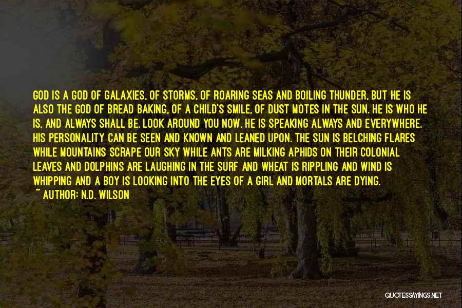 Eyes Of A Boy Quotes By N.D. Wilson