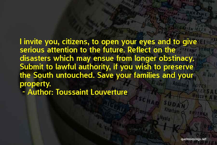 Eyes Reflect Quotes By Toussaint Louverture