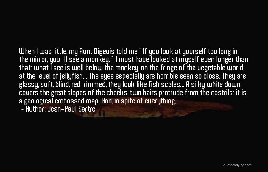Eyes Say Something Quotes By Jean-Paul Sartre