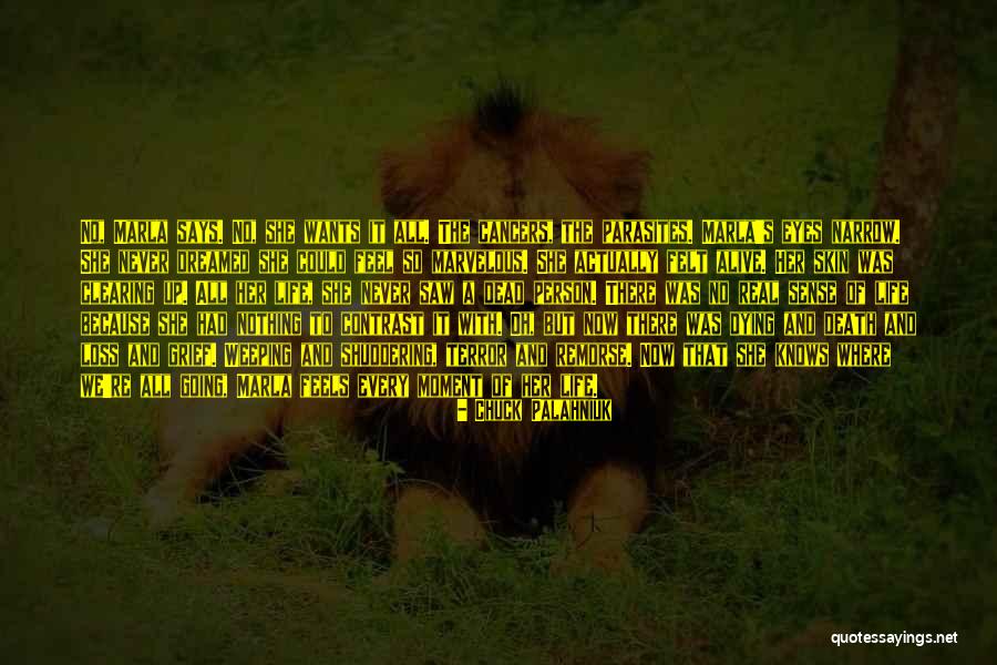 Eyes Says It All Quotes By Chuck Palahniuk Eyes Says It All Quotes By Chuck Palahniuk