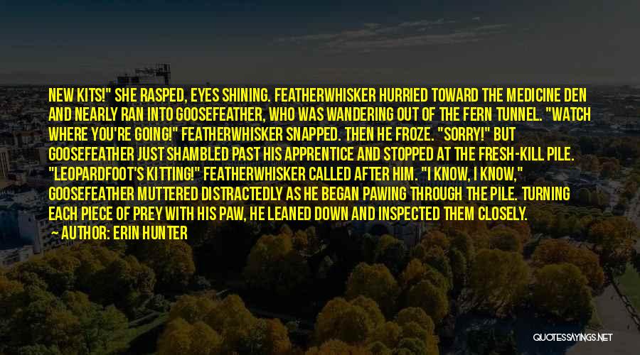 Eyes Wandering Quotes By Erin Hunter