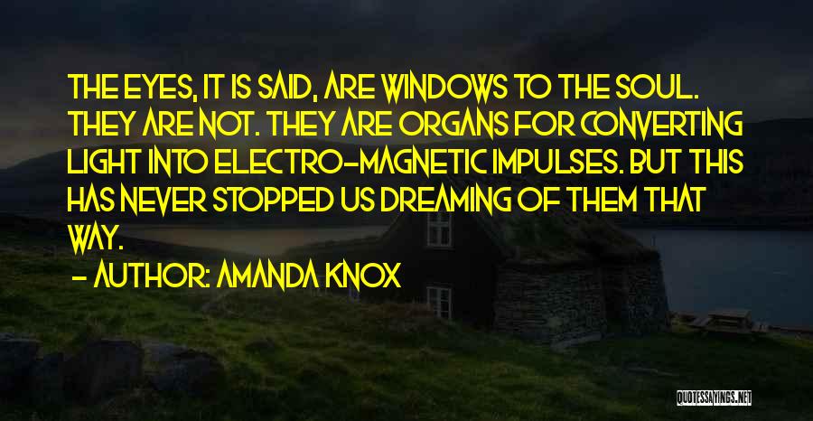 Eyes Window To Soul Quotes By Amanda Knox
