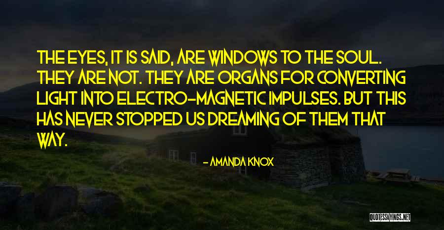 Eyes Window To Soul Quotes By Amanda Knox