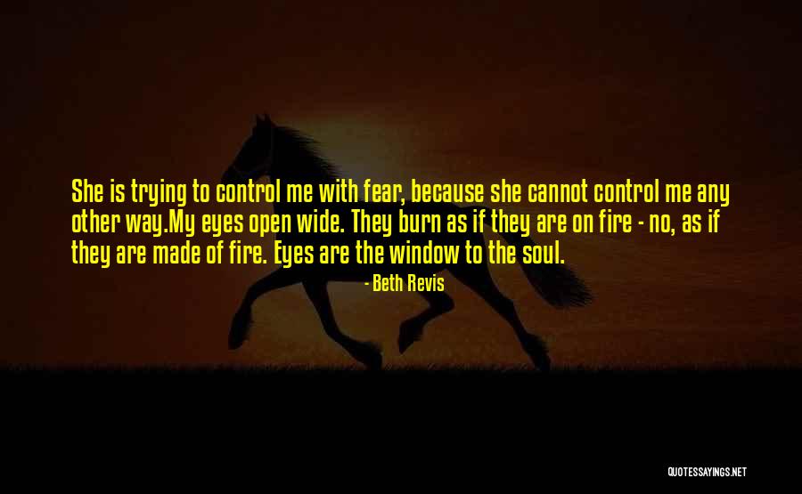 Eyes Window To Soul Quotes By Beth Revis Eyes Window To Soul Quotes By Beth Revis