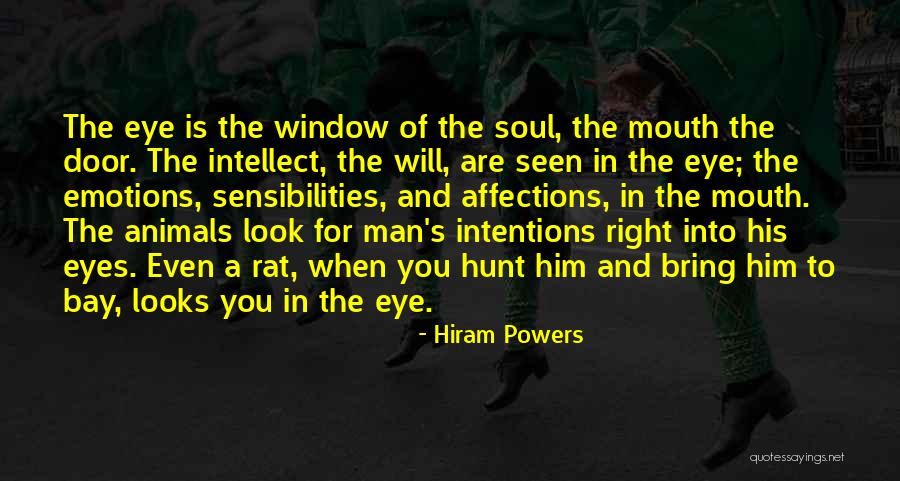 Eyes Window To Soul Quotes By Hiram Powers